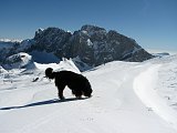 Salita al Ferrantino (2335 m) e al Ferrante (2427 m) e discesa al Rif. Albani (1939 m) in un mare di neve il 28 febb 09  - FOTOGALLERY